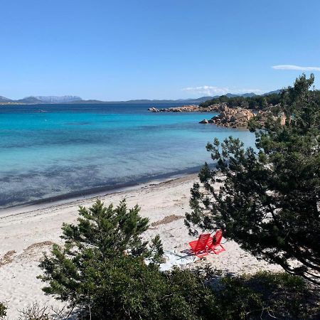 Appartamento Porto Rotondo Rudargia Экстерьер фото